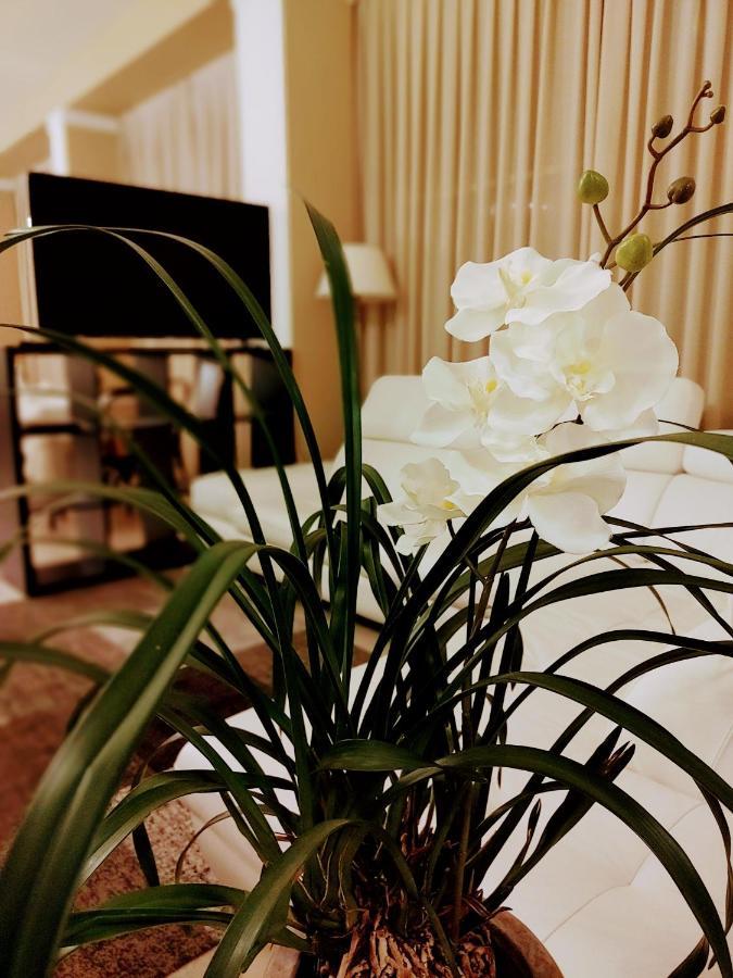 Hotel Mia Restaurant Airport Римини Экстерьер фото